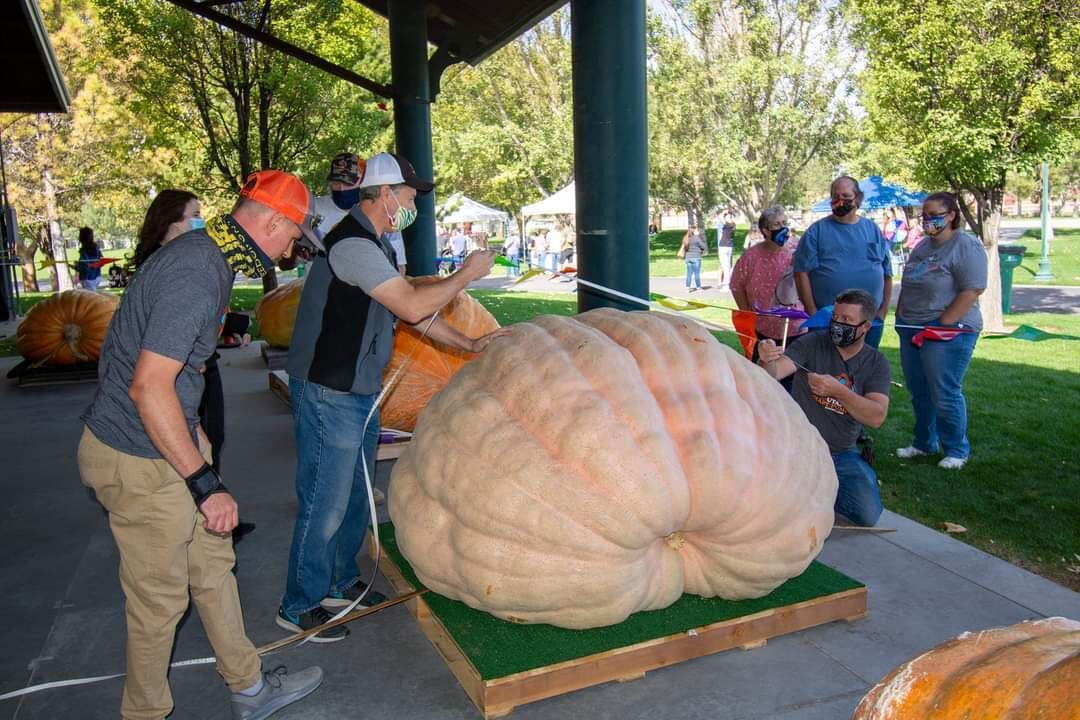 Giant Gourd